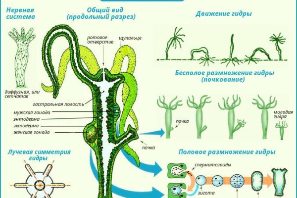 Kraken сайт krakens15 at